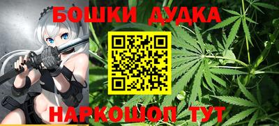 МДПВ Лесосибирск