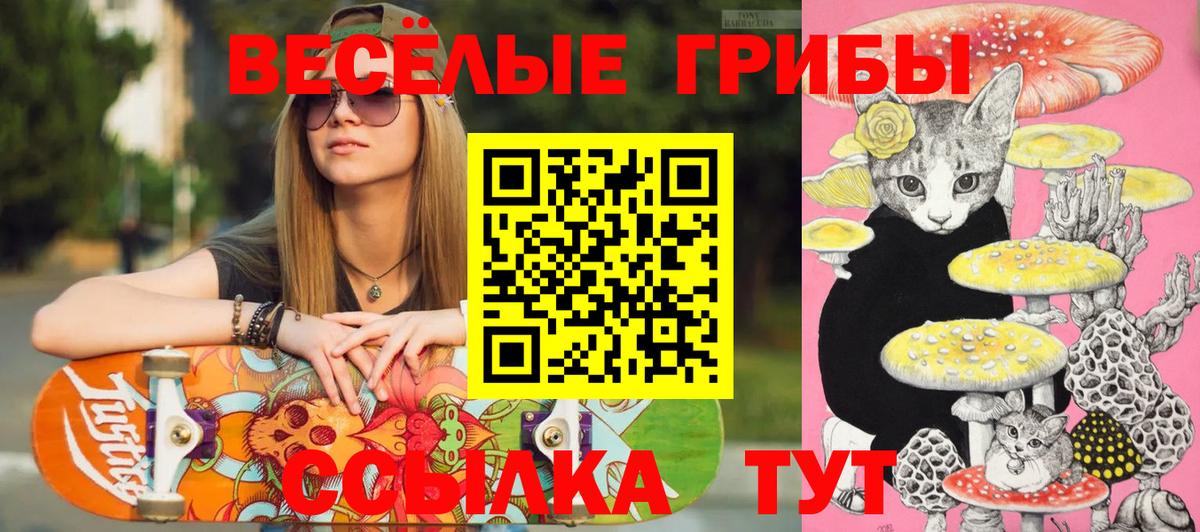 Валуйки  где продают   Вход с VPN  Галлюциногенные грибы GOLDEN TEACHER 