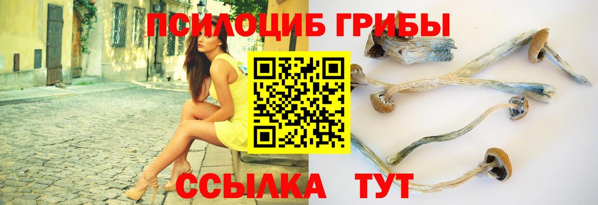 Псилоцибиновые грибы прущие грибы Валуйки